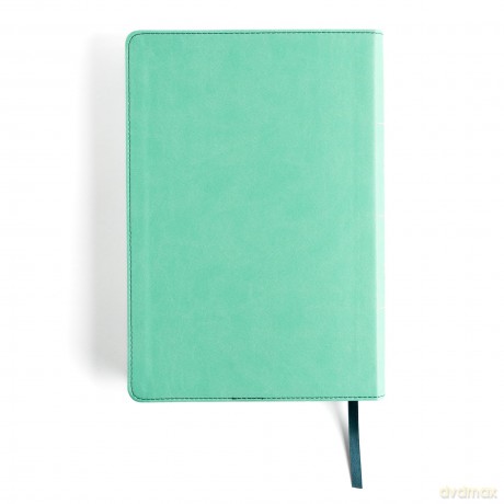 CSB Rainbow Study Bible, Teal LeatherTouch - CSB Bibles by Holman [KSIĄŻKA]