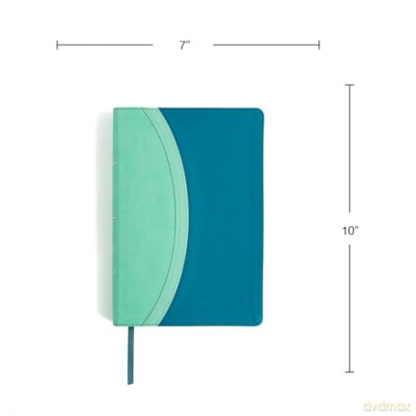 CSB Rainbow Study Bible, Teal LeatherTouch - CSB Bibles by Holman [KSIĄŻKA]