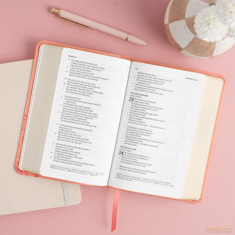 CSB Single-Column Compact Bible, Digital Study Edition, Blush Floral LeatherTouch - CSB Bibles by Holman [KSIĄŻKA]