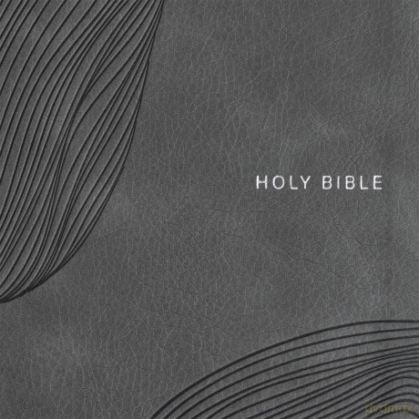 CSB Single-Column Compact Bible, Digital Study Edition, Charcoal LeatherTouch - CSB Bibles by Holman [KSIĄŻKA]