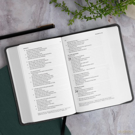 CSB Single-Column Compact Bible, Digital Study Edition, Charcoal LeatherTouch - CSB Bibles by Holman [KSIĄŻKA]