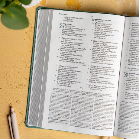 CSB Student Study Bible, Earthen Teal SuedeSoft LeatherTouch - CSB Bibles by Holman [KSIĄŻKA]