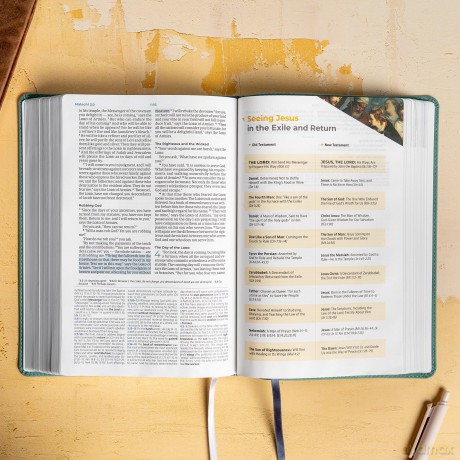 CSB Student Study Bible, Earthen Teal SuedeSoft LeatherTouch - CSB Bibles by Holman [KSIĄŻKA]
