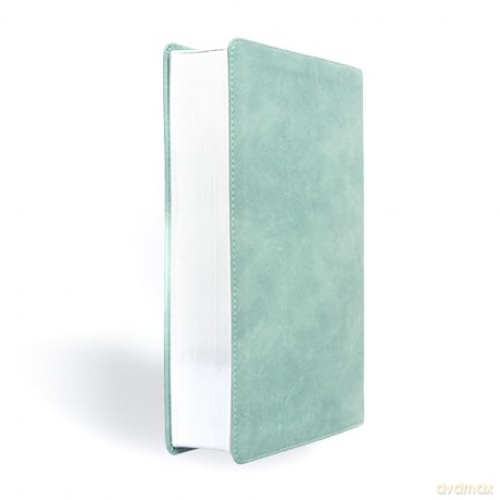 CSB Student Study Bible, Earthen Teal SuedeSoft LeatherTouch - CSB Bibles by Holman [KSIĄŻKA]