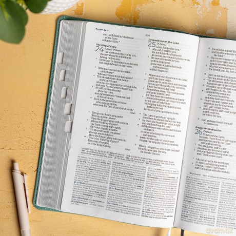 CSB Student Study Bible, Earthen Teal SuedeSoft LeatherTouch, Indexed - CSB Bibles by Holman [KSIĄŻKA]