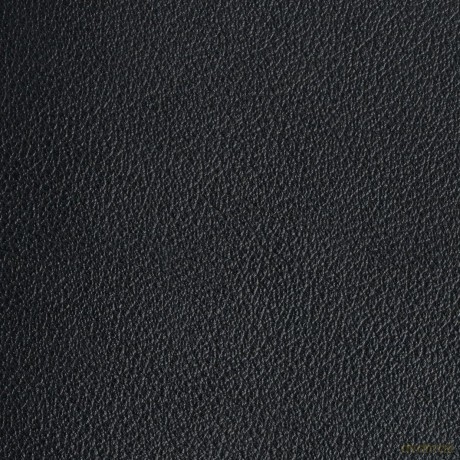 CSB Thinline Bible, Anglicised Edition, Black Leather [KSIĄŻKA]