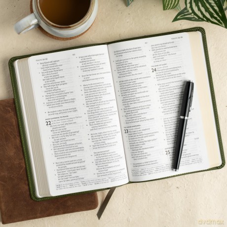 CSB Thinline Bible, Anglicised Edition, Olive LeatherTouch - CSB Bibles by Holman [KSIĄŻKA]