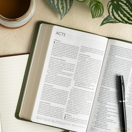 CSB Thinline Bible, Anglicised Edition, Olive LeatherTouch - CSB Bibles by Holman [KSIĄŻKA]