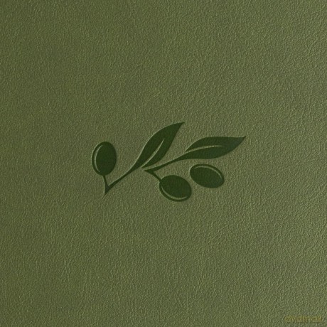 CSB Thinline Bible, Anglicised Edition, Olive LeatherTouch - CSB Bibles by Holman [KSIĄŻKA]