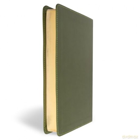 CSB Thinline Bible, Anglicised Edition, Olive LeatherTouch - CSB Bibles by Holman [KSIĄŻKA]