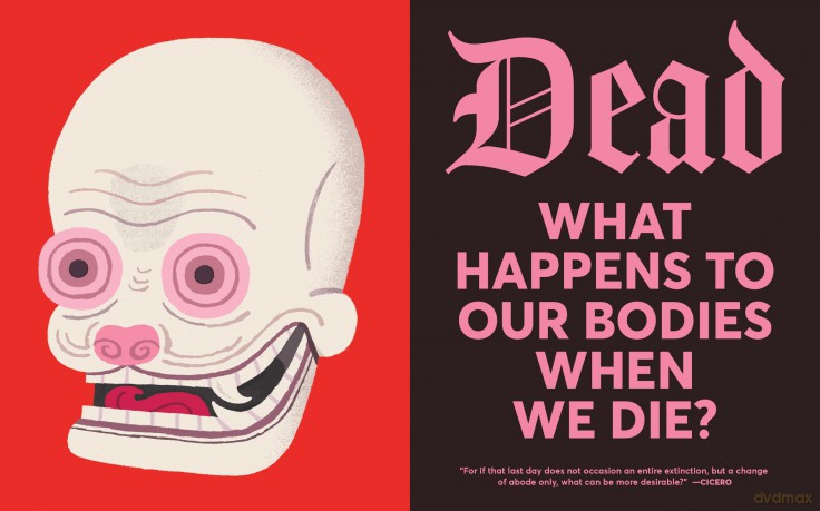 Curious Coffins and Riveting Rituals: Death Practices Around the World - YY Liak [KSIĄŻKA]