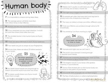 Curious Facts About Everything: 1,500 interesting facts to amaze kids - Collins Kids [KSIĄŻKA]