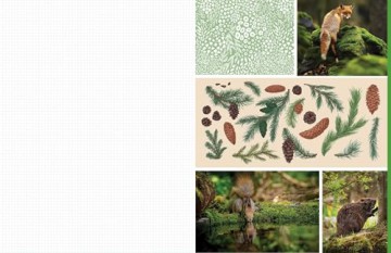 Cut and Collage Woodland Creatures: Extraordinary Images from Within the Forest - Insight Editions [KSIĄŻKA]