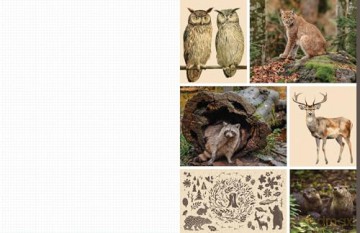 Cut and Collage Woodland Creatures: Extraordinary Images from Within the Forest - Insight Editions [KSIĄŻKA]