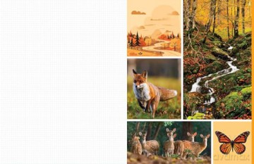 Cut and Collage Woodland Creatures: Extraordinary Images from Within the Forest - Insight Editions [KSIĄŻKA]
