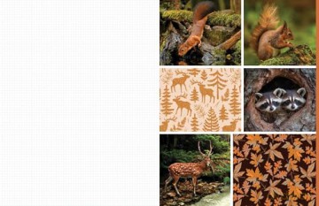 Cut and Collage Woodland Creatures: Extraordinary Images from Within the Forest - Insight Editions [KSIĄŻKA]