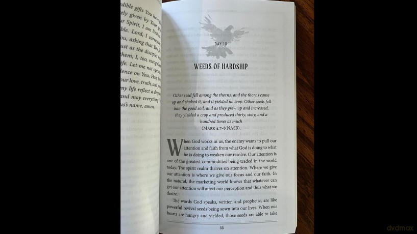 Daily Surrender: 60 Invitations to Encounter the Person, Presence, and Power of the Holy Spirit - Hayley Braun [KSIĄŻKA]