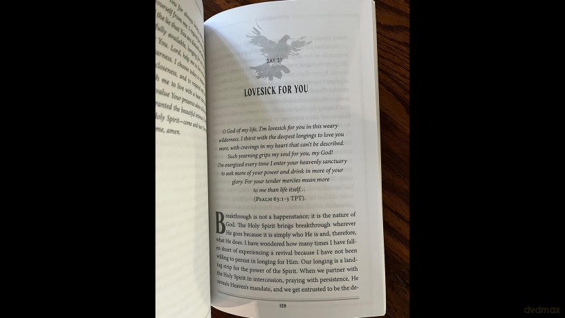 Daily Surrender: 60 Invitations to Encounter the Person, Presence, and Power of the Holy Spirit - Hayley Braun [KSIĄŻKA]