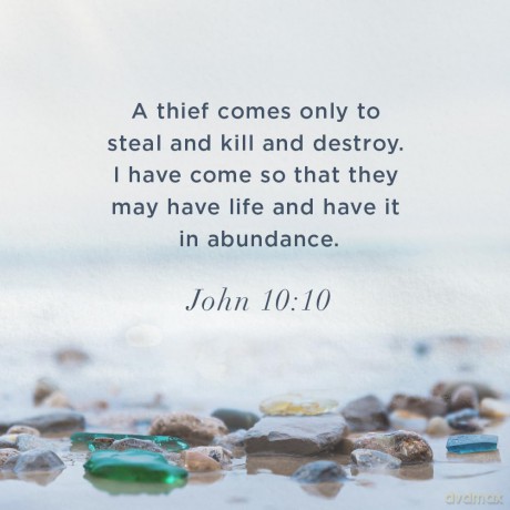 Daring Joy Bible Study Book With Video Access - Nicole Zasowski [KSIĄŻKA]