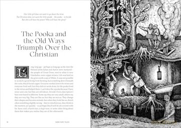Dark Fairy Tales: Stories from Around the World - Viktor Wynd [KSIĄŻKA]