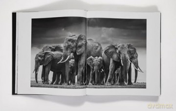 David Yarrow: The Collection - David Yarrow [KSIĄŻKA]