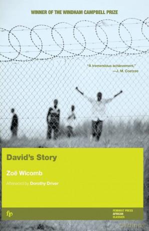 David's Story - Zoë Wicomb [KSIĄŻKA]