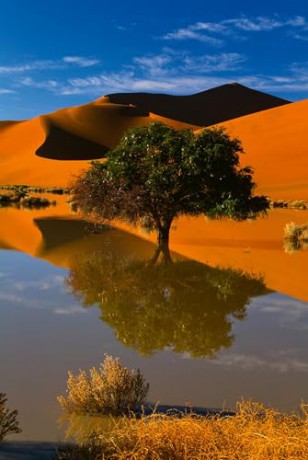 Deserts: The World's Most Fascinating Places - Philippe Bourseiller [KSIĄŻKA]