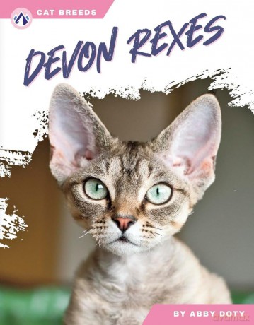 Devon Rexes - Abby Doty [KSIĄŻKA]