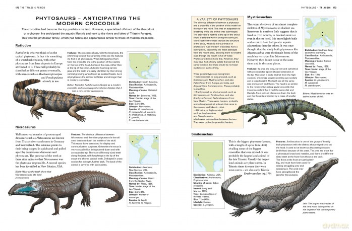 Dinosaurs and Prehistoric Creatures, the Illustrated Enc of: The ultimate reference guide featuring 1000 creatures from the Devonian to the Quaternary period with 2000 illustrations - Dougal Dixon [KSIĄŻKA]