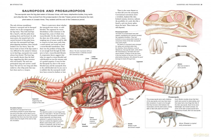 Dinosaurs and Prehistoric Creatures, the Illustrated Enc of: The ultimate reference guide featuring 1000 creatures from the Devonian to the Quaternary period with 2000 illustrations - Dougal Dixon [KSIĄŻKA]