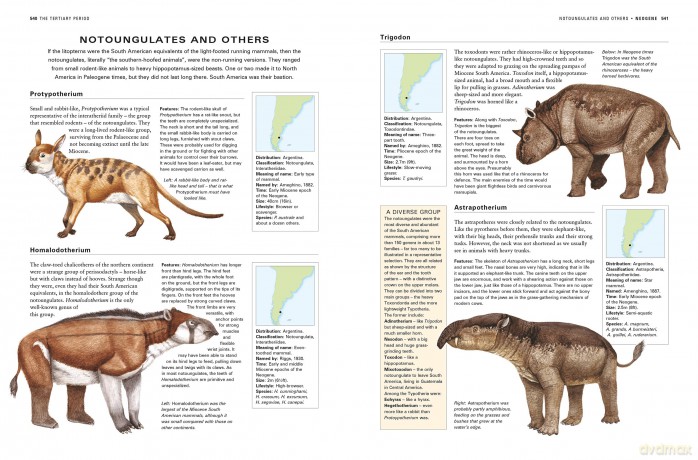 Dinosaurs and Prehistoric Creatures, the Illustrated Enc of: The ultimate reference guide featuring 1000 creatures from the Devonian to the Quaternary period with 2000 illustrations - Dougal Dixon [KSIĄŻKA]
