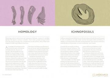 Dinosaurus: A Prehistoric Dictionary - Rhys Charles [KSIĄŻKA]