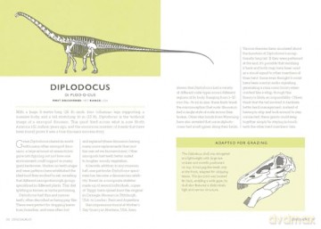 Dinosaurus: A Prehistoric Dictionary - Rhys Charles [KSIĄŻKA]