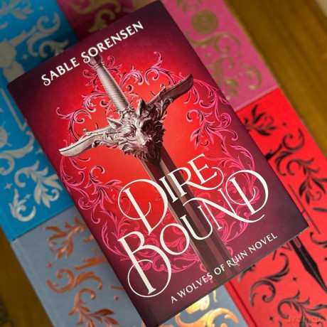 Dire Bound: The hottest enemies to lovers fantasy romance of 2025 and SUNDAY TIMES bestseller - Sable Sorensen [KSIĄŻKA]