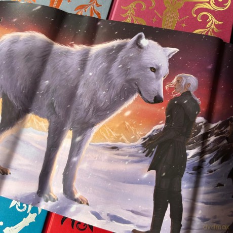 Dire Bound: The hottest enemies to lovers fantasy romance of 2025 and SUNDAY TIMES bestseller - Sable Sorensen [KSIĄŻKA]