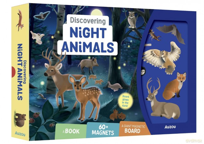 Discovering Night Animals - Anais Chevret [KSIĄŻKA]