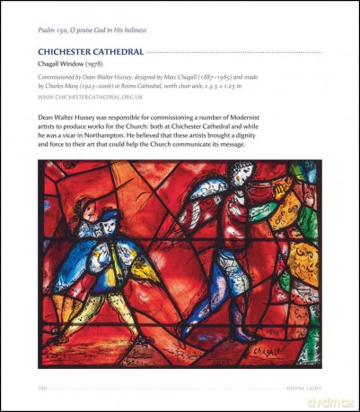 Divine Light: The Stained Glass of England's Cathedrals - Janet Gough [KSIĄŻKA]