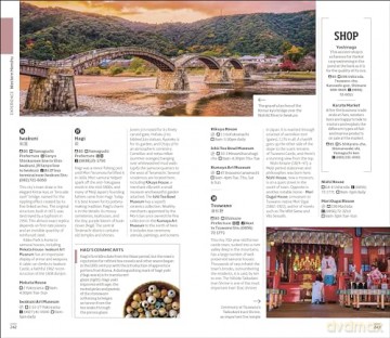 DK Japan - DK Travel [KSIĄŻKA]