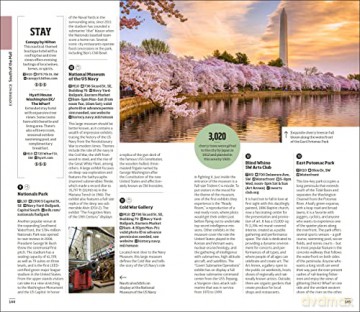 DK Washington, DC - DK Travel [KSIĄŻKA]