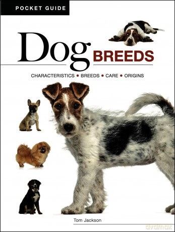 Dog Breeds: Characteristics * Breeds * Care * Origins - Tom Jackson [KSIĄŻKA]