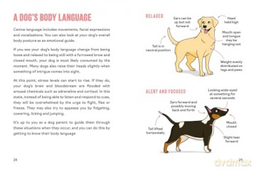 Dog Parenting: An Illustrated Guide to Understanding, Training and Bonding with Your Best Friend - Elizabeth Mullen [KSIĄŻKA]