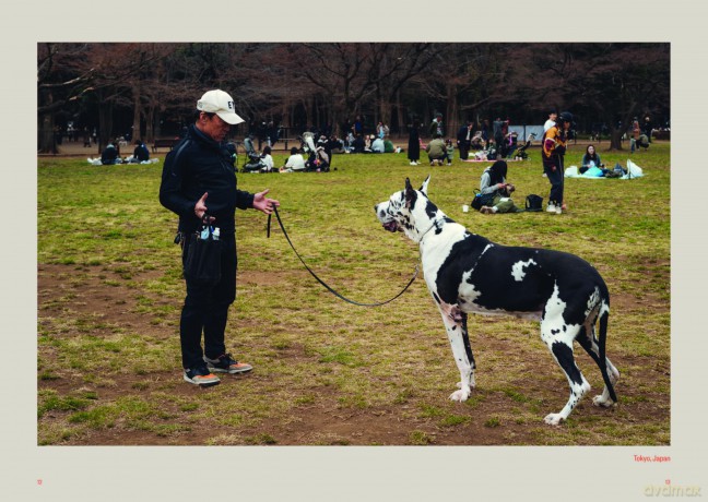 Dog's Best Friend: A portrait of an unbreakable bond - Giuseppe Santamaria [KSIĄŻKA]