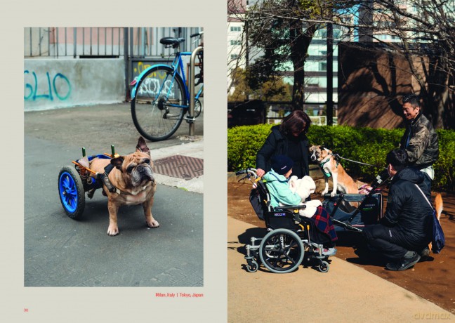 Dog's Best Friend: A portrait of an unbreakable bond - Giuseppe Santamaria [KSIĄŻKA]