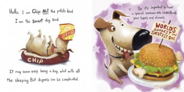 Don't Lose Mr. Cuddles: Life Lessons from Chip the Dog - Dev Petty [KSIĄŻKA]