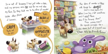 Don't Lose Mr. Cuddles: Life Lessons from Chip the Dog - Dev Petty [KSIĄŻKA]