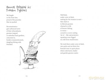 Dragon Cat - Pie Corbett [KSIĄŻKA]