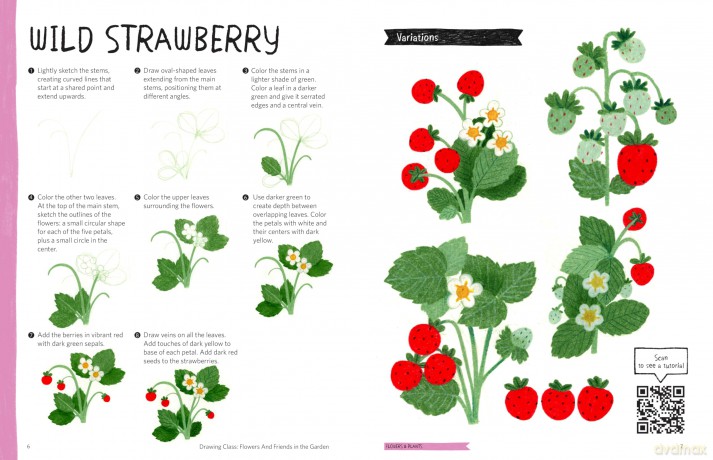 Drawing Class: Flowers and Friends in the Garden: Learn to Draw with Simple Shapes and Online Tutorials - Access video tutorials for 60 drawings via QR codes - Heegyum Kim [KSIĄŻKA]
