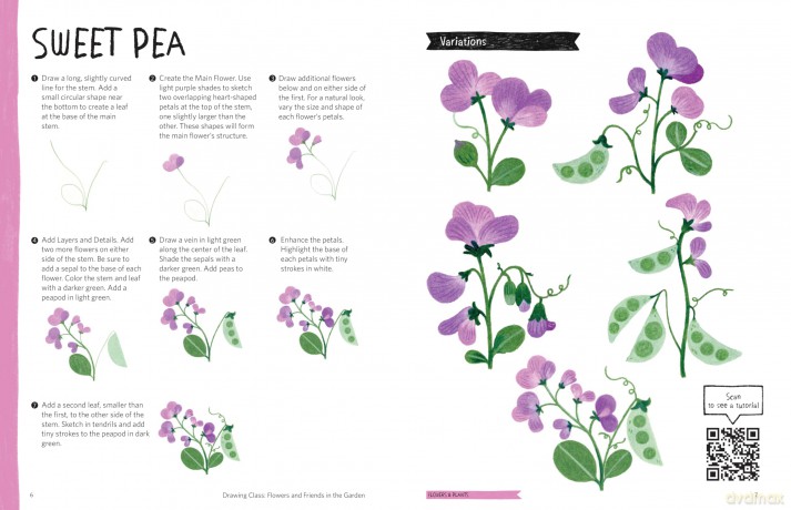 Drawing Class: Flowers and Friends in the Garden: Learn to Draw with Simple Shapes and Online Tutorials - Access video tutorials for 60 drawings via QR codes - Heegyum Kim [KSIĄŻKA]