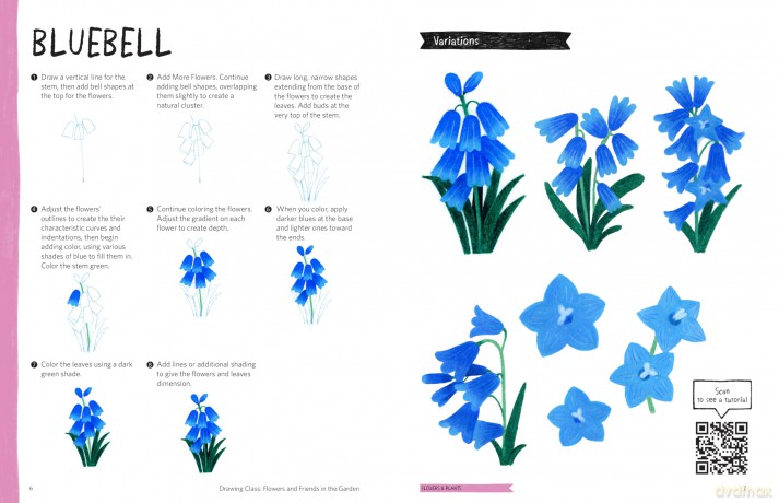 Drawing Class: Flowers and Friends in the Garden: Learn to Draw with Simple Shapes and Online Tutorials - Access video tutorials for 60 drawings via QR codes - Heegyum Kim [KSIĄŻKA]