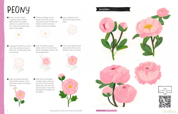 Drawing Class: Flowers and Friends in the Garden: Learn to Draw with Simple Shapes and Online Tutorials - Access video tutorials for 60 drawings via QR codes - Heegyum Kim [KSIĄŻKA]